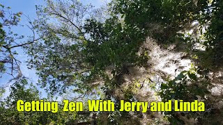 Zen out with Jerry and Linda by THE VILLAGES FLORIDA NEWCOMERS 4,097 views 1 month ago 53 seconds