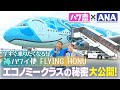 【潜入】ANA CA青木さんとまことちゃんでハワイ便「FLYING HONU」の魅力を大解剖！ #ana #ca #ハワイ #hawaii
