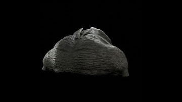 Monstrous Reptilian - 3d model rotation