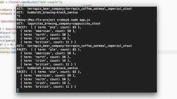 FTS with Facets in Couchbase NoSQL with Node.js