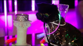 Yaeji - Raingurl ☂ feat. MuadDib