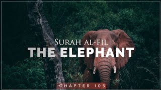 Surah Al-Fil ( The Elephant ) || Islam Sobhi || سورۃ الفیل || اسلام صبحی || The Complete Quran