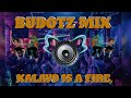 KALAYO IS A FIRE LUBI IS COCONUT BUDOTZ - SAYAWAMIX BY DEEJAY RAYS