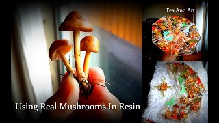 Can we Preserve Real Mushrooms in Resin | 樹脂教程 | 樹脂チュートリアル | Resin Coasters using Dry Plants