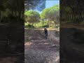 Enduro en el pinar del hierro #saltos #mtb #enduromtb #cannondale #cannondalehabit