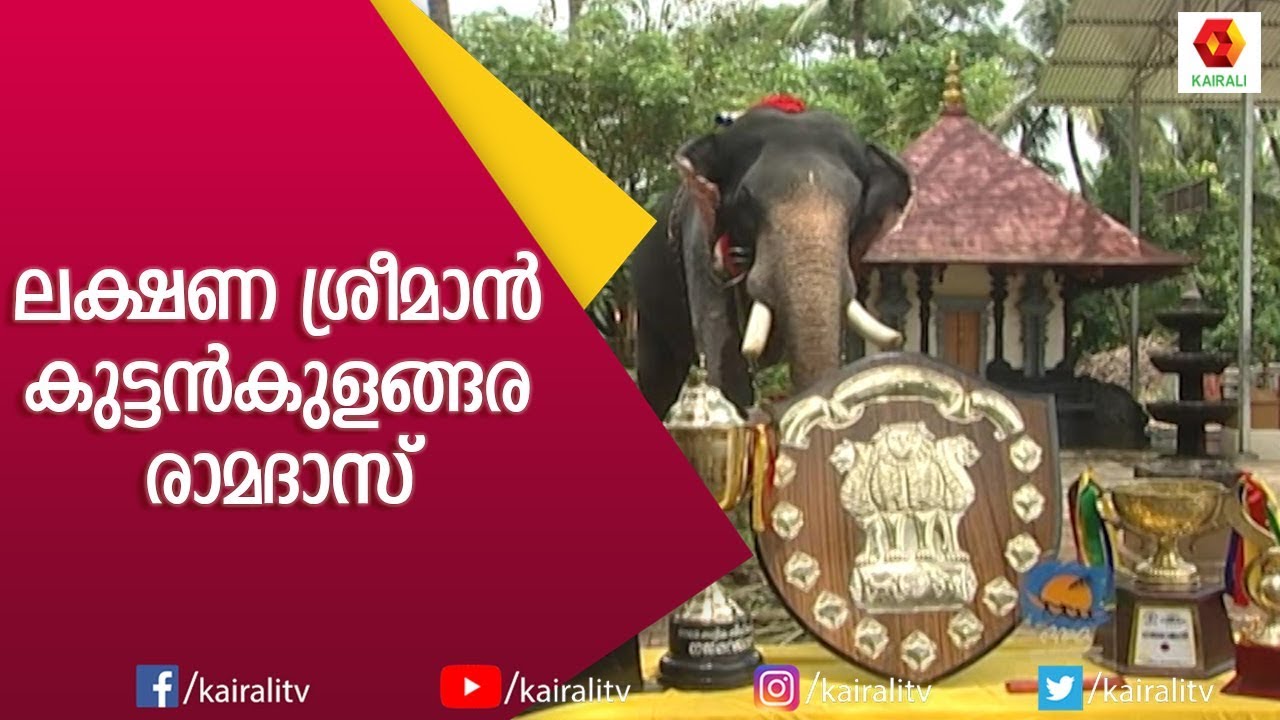 ആനച്ചന്തത്തിന്റെ അവസാനവാക്ക് കുട്ടൻകുളങ്ങര രാമദാസ്| Kuttankulangara Ramadas | E4 Elephant|Kairali TV