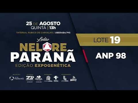 LOTE 19 ANP 98