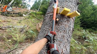 Holzfällen unter schwierigen bedingungen