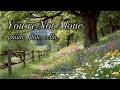 For the Moments You Feel Alone 🌼 Soft Guitar, Flute & Cello for Comfort & Peaceful Rest