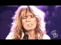 David coverdale tribute