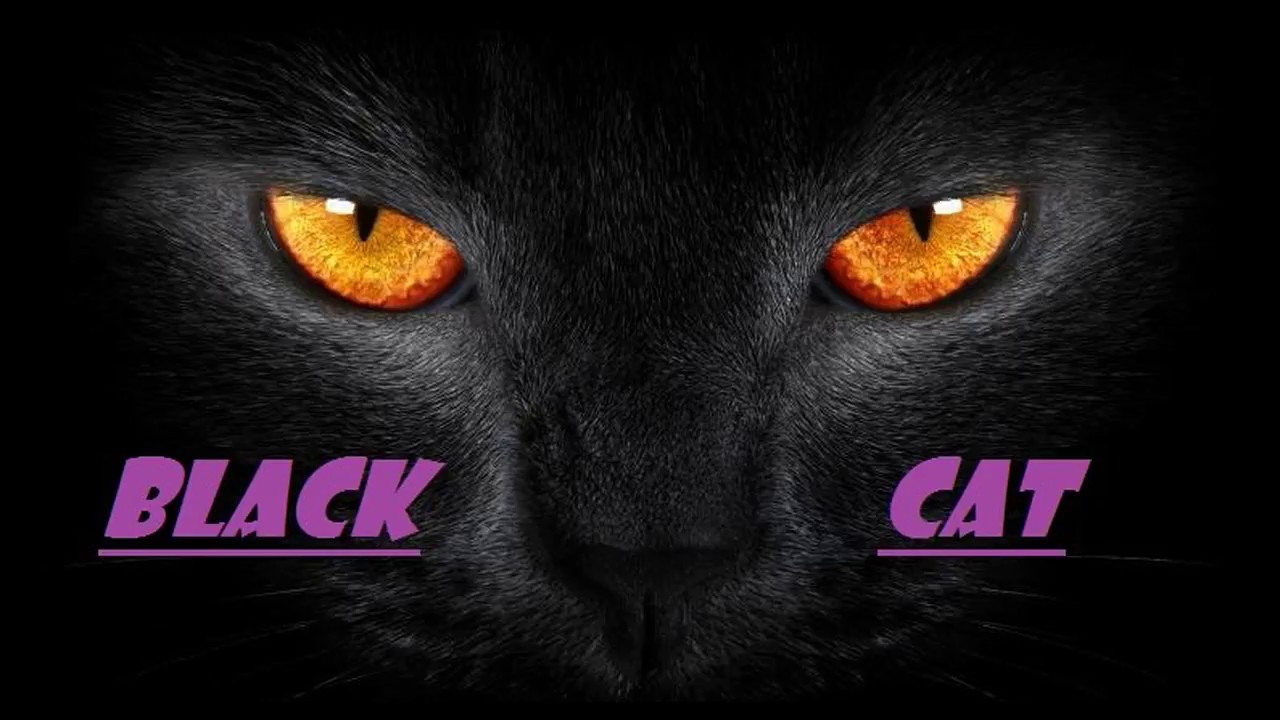 Черная кошка играть. Игра черный кот. Игру с черным кот КЭТОМ. Чёрный кот песня.