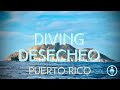 Diving Desecheo, The Uninhabited Island - Puerto Rico