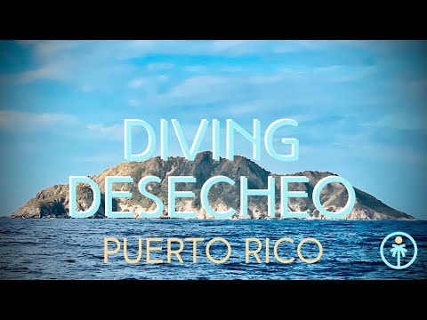 Video: Lặn biển ở Puerto Rico