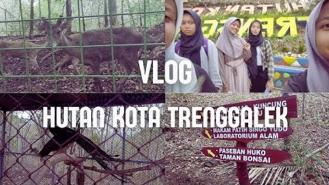 TUGAS VLOG INFORMATIKA KELOMPOK 3 KELAS IX D MTsN 1 TRENGGALEK
