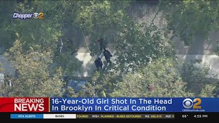 16-Year-Old Girl Shot In The Head In Brooklyn