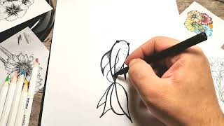 How to Draw Koi Fish Easy Step by Step Tutorial
