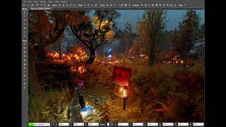 Neverbeen Planet initial location (divinity engine 2)