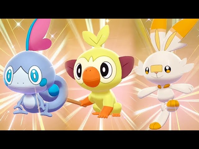 Pokemon Sword Shield Shiny Starters Speculation by jozzer26 on