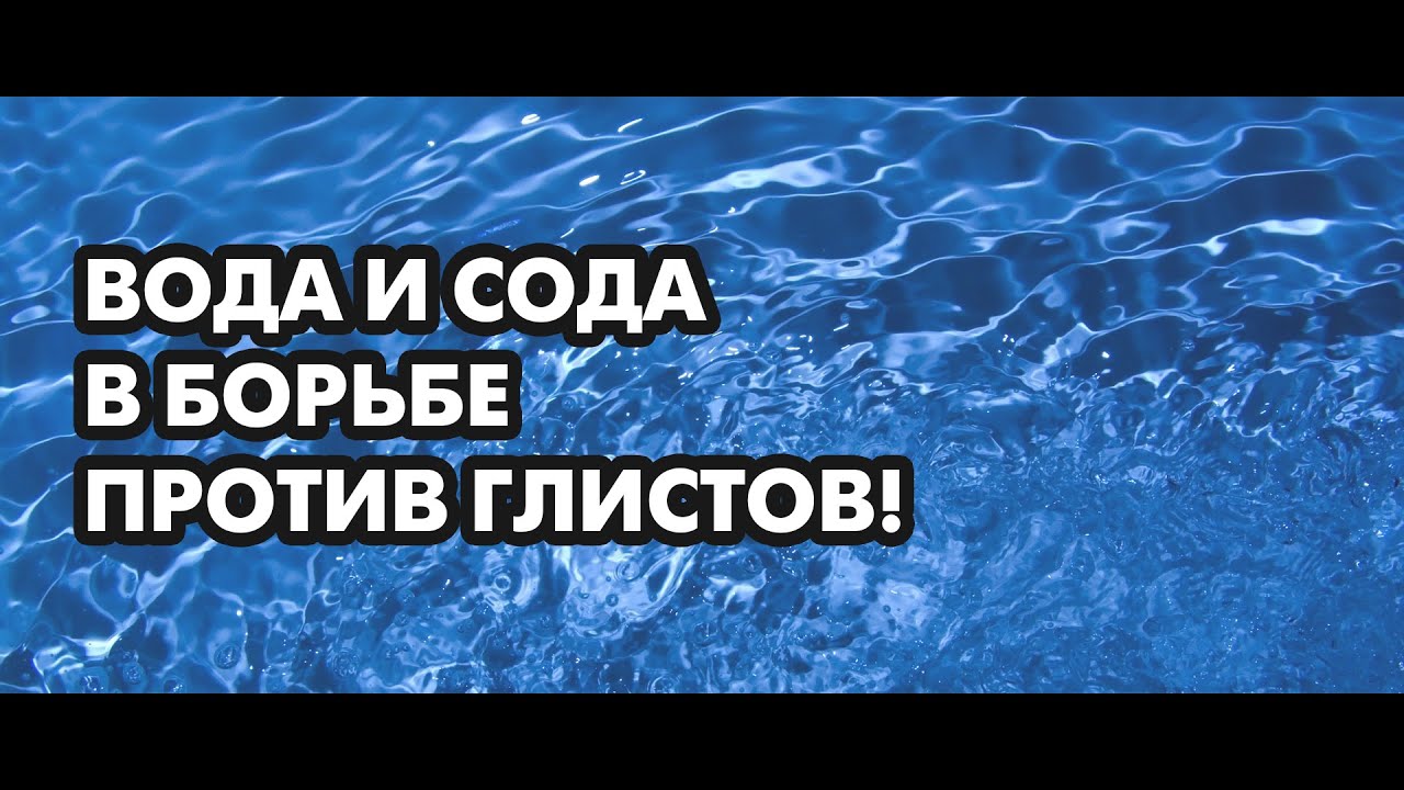 Вода и сода в борьбе против глистов! Доктор, фитотерапевт, диетолог Борис Скачко