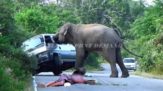 A man fell to the ground after being attacked by a fierce wild elephant.