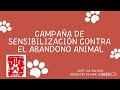 CAMPAÑA DE SENSIBILIZACIÓN CONTRA EL ABANDONO ANIMAL
