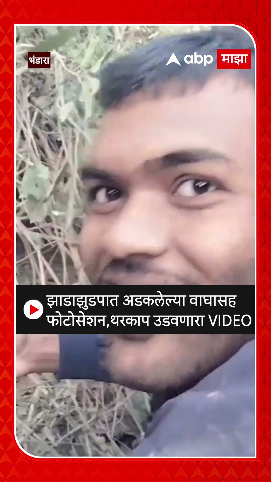 Bhandara Tiger : झाडाझुडपात अडकलेल्या वाघासह फोटोसेशन,थरकाप उडवणारा VIDEO #Bhandara #Tiger