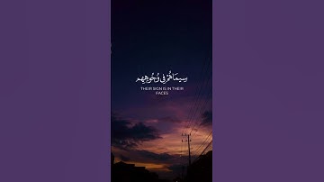 سورة الفتح (29)_ ماهر المعيقلي