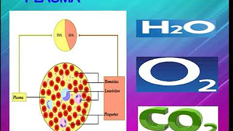 Qual o método utilizado para separar os componentes do sangue?