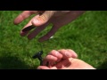 Magnetic Bivvy Hook