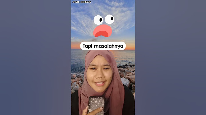 BAYI PENGUIN LUCU HAMPIR MATI KEDINGINAN! BISA SELAMAT NGGA YA?