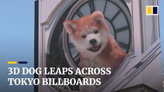 Giant 3D dog leaps across Tokyo billboards