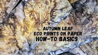 Eco Print Basics: Autumn Leaves on Paper