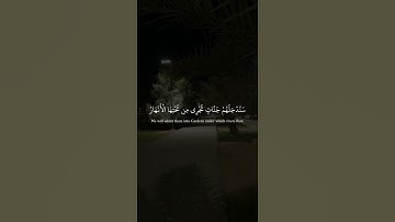 سورة_النساء  آية ٥٧||حالات واتس قرآن || تلاوة #مشاري_العفاسي
