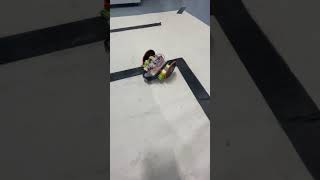 IMG 2621