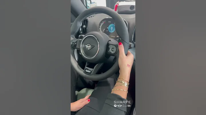 2023 MINI Cooper S Countryman Untamed Edition - 天天要聞