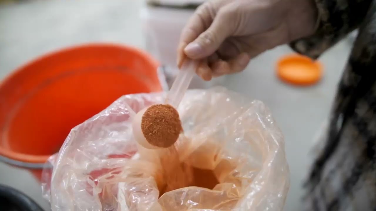 FullBucket | The Leaders in Horse Digestive Health