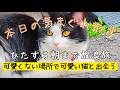 【作業向け配信】秋葉原からスタートし山手線を反時計回りに歩き続ける散歩【東京散歩】| Walking Tokyo
