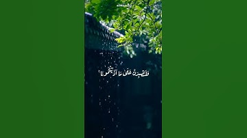 تلاوة خاشعة