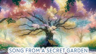 Song From A Secret Garden - Guitar & Violin Version