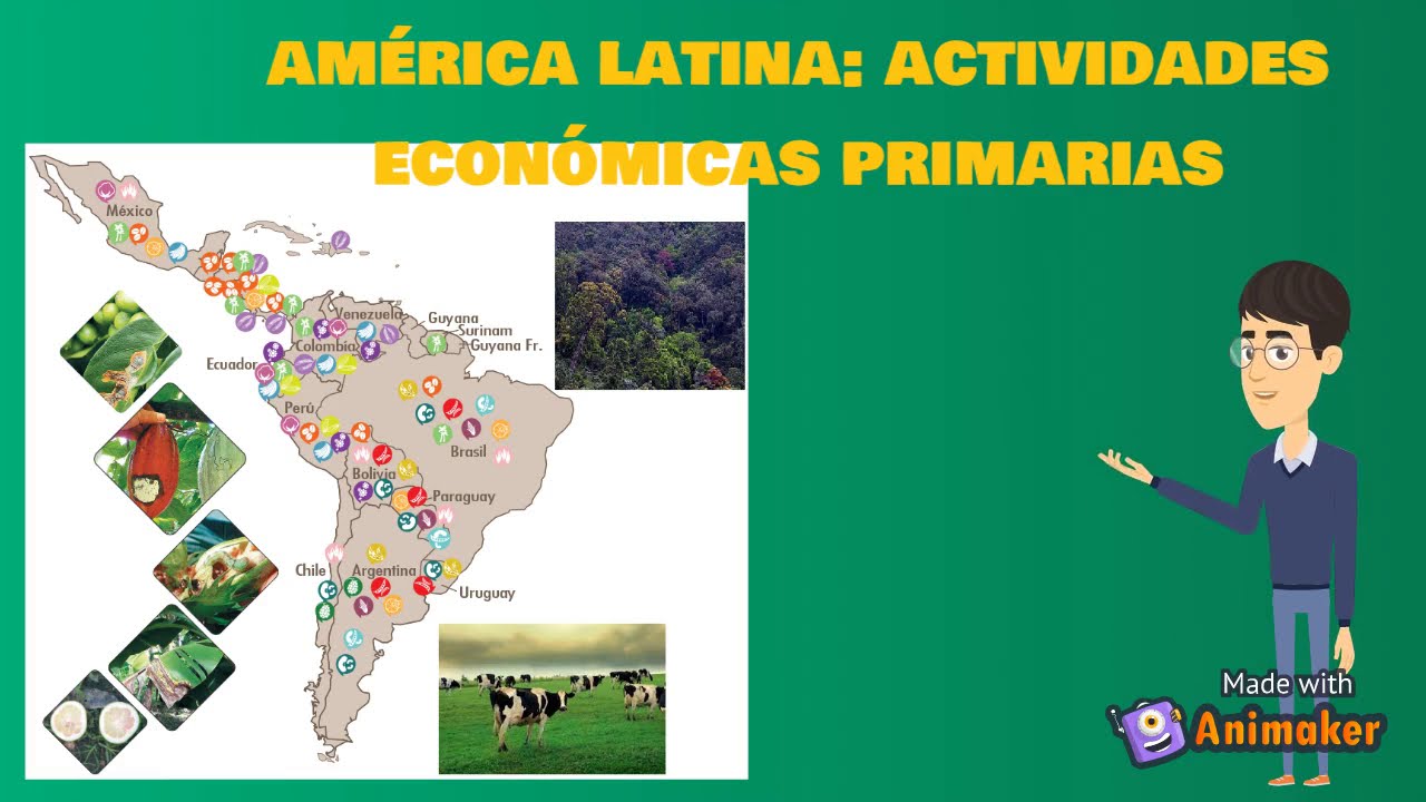 ACTIVIDADES ECONÓMICAS EN AMÉRICA LATINA - YouTube