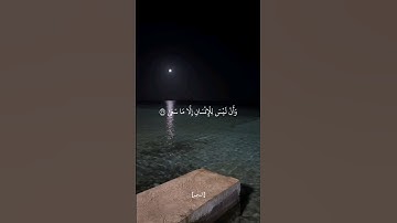 وأن ليس للإنسان ما سعى وان سعيه سوف يرى-سورة النجم #قرآن #explore #quran