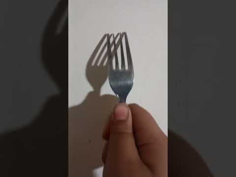 ۲۰ فوریهٔ ۲۰۲۶