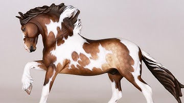 ODIN | Artist Resin Custom Model Horse to Pinto