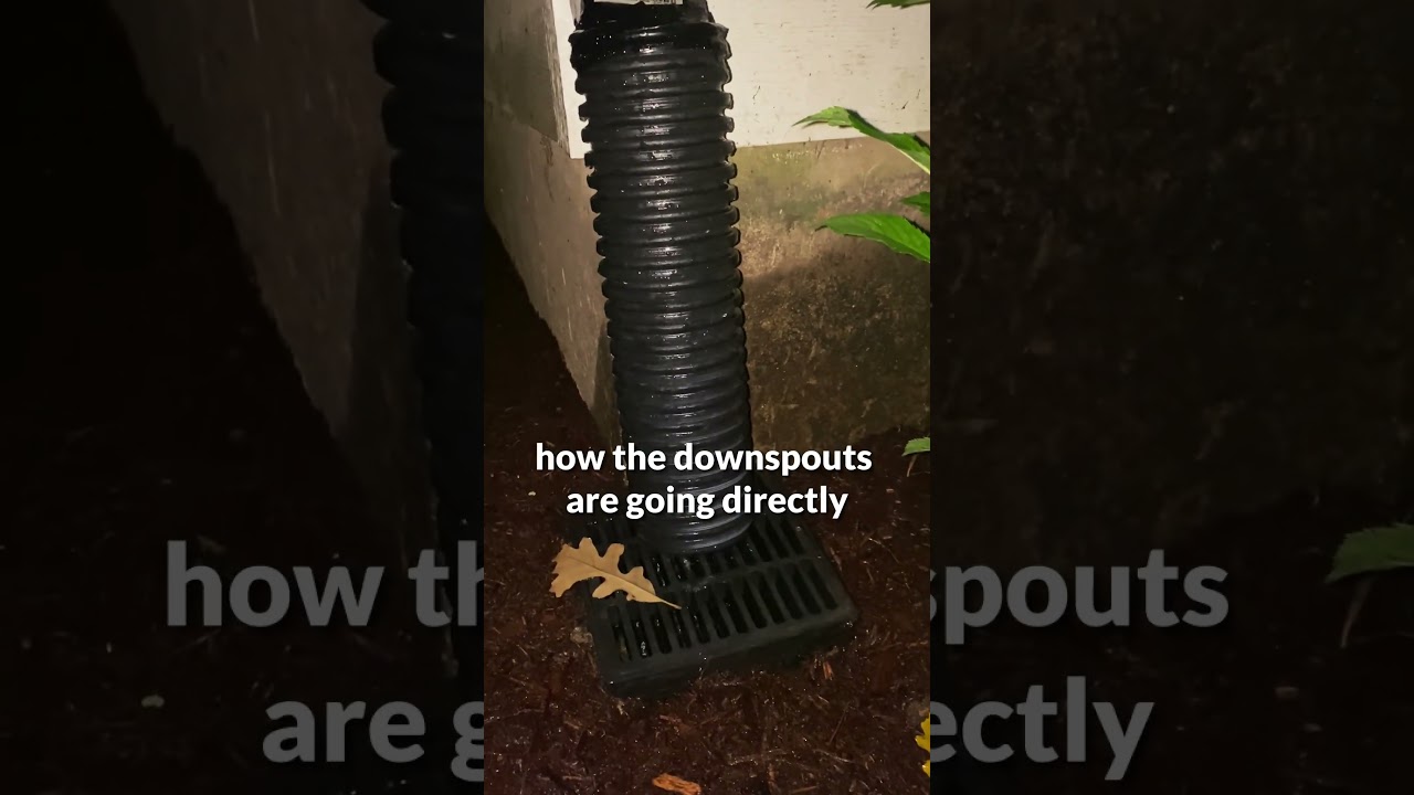 A Rainfall Triumph: Exceptional Drainage Success at Ware Landscaping