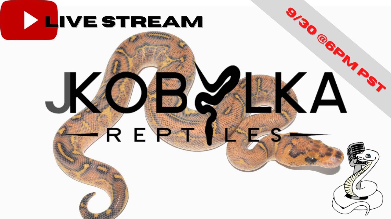 Reptile Chat with Justin Kobylka - YouTube