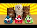 It&#39;s Cat Time😻 Funny Moments About the Life Of PET! Animated Stories By Doodland🙃