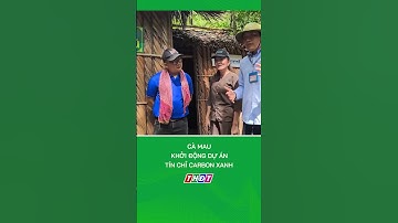 Cà Mau khởi động dự án tín chỉ carbon xanh #nongnghiepmientay