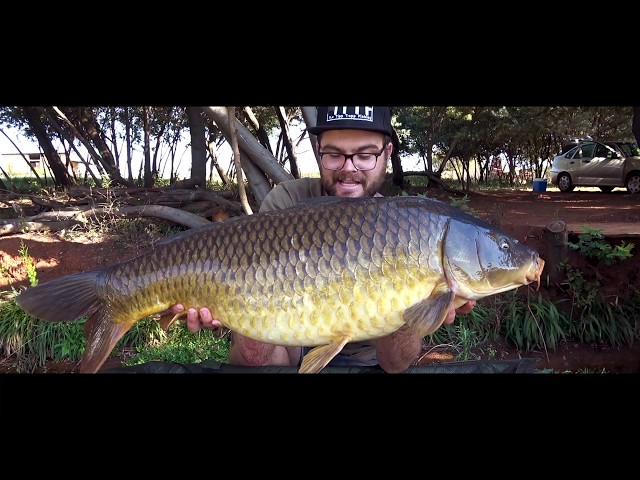 Carp Fishing for BIG CARP in South Africa at Carp HAven (New Personal Best  Rig Explained) 