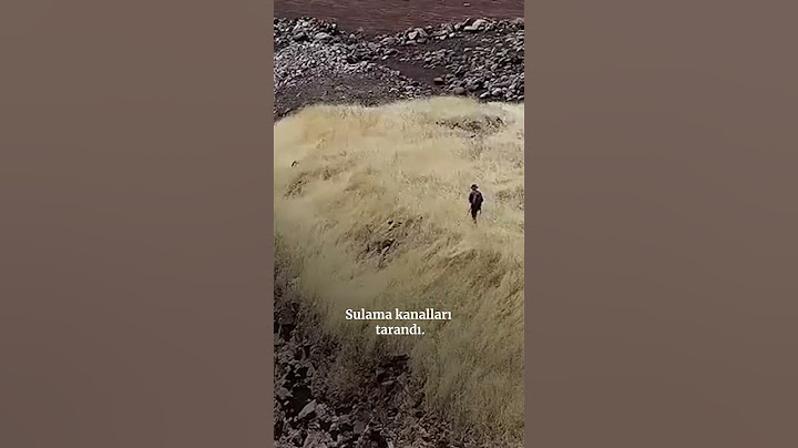 Diyarbakır: 8 yaşındaki Narin Güran nerede? #shorts