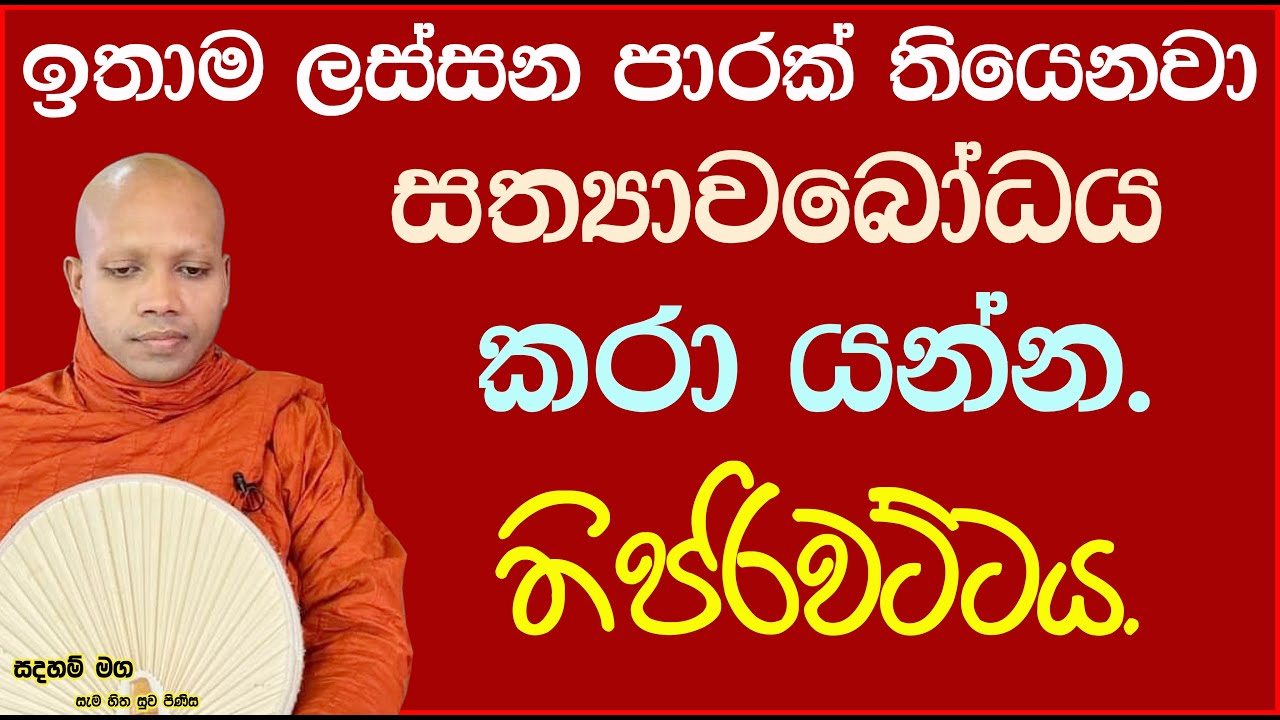 තිපරිවට්ටය ඇසුරින් නිවන් මඟ.2732Ven Hasalaka Seelawimala Thero